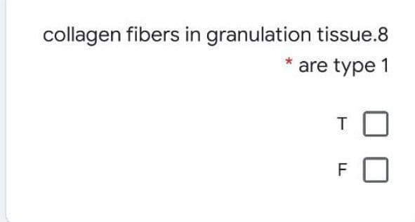 collagen fibers in granulation tissue.8
are type 1
F

