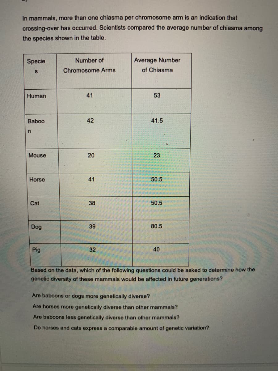 In mammals, more than one chiasma per chromosome arm is an indication that
crossing-over has occurred. Scientists compared the average number of chiasma among
the species shown in the table.
Specie
Number of
Average Number
Chromosome Arms
of Chiasma
Human
41
53
Baboo
42
41.5
Mouse
20
23
Horse
41
50.5
Cat
38
50.5
Dog
39
80.5
Pig
32
40
Based on the data, which of the following questions could be asked to determine how the
genetic diversity of these mammals would be affected in future generations?
Are baboons or dogs more genetically diverse?
Are horses more genetically diverse than other mammals?
Are baboons less genetically diverse than other mammals?
Do horses and cats express a comparable amount of genetic variation?
