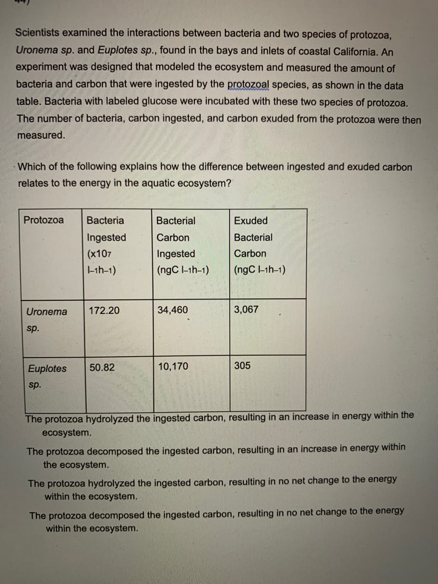 Scientists examined the interactions between bacteria and two species of protozoa,
Uronema sp. and Euplotes sp., found in the bays and inlets of coastal California. An
experiment was designed that modeled the ecosystem and measured the amount of
bacteria and carbon that were ingested by the protozoal species, as shown in the data
table. Bacteria with labeled glucose were incubated with these two species of protozoa.
The number of bacteria, carbon ingested, and carbon exuded from the protozoa were then
measured.
Which of the following explains how the difference between ingested and exuded carbon
relates to the energy in the aquatic ecosystem?
Protozoa
Bacteria
Bacterial
Exuded
Ingested
Carbon
Bacterial
(x107
Ingested
Carbon
-ih-1)
(ngC l-1h-1)
(ngC l-1h-1)
Uronema
172.20
34,460
3,067
sp.
Euplotes
50.82
10,170
305
sp.
The protozoa hydrolyzed the ingested carbon, resulting in an increase in energy within the
ecosystem.
The protozoa decomposed the ingested carbon, resulting in an increase in energy within
the ecosystem.
The protozoa hydrolyzed the ingested carbon, resulting in no net change to the energy
within the ecosystem.
The protozoa decomposed the ingested carbon, resulting in no net change to the energy
within the ecosystem.
