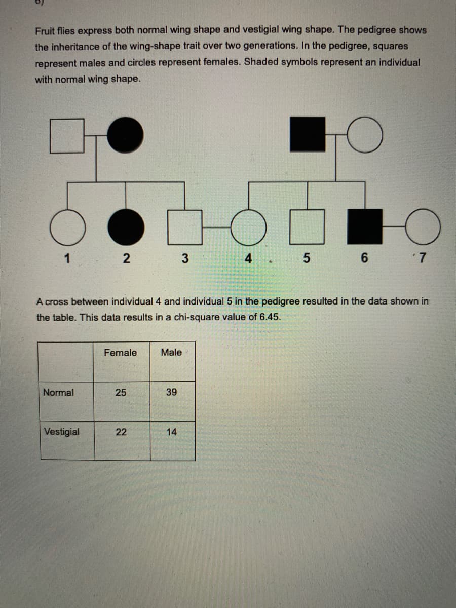 Fruit flies express both normal wing shape and vestigial wing shape. The pedigree shows
the inheritance of the wing-shape trait over two generations. In the pedigree, squares
represent males and circles represent females. Shaded symbols represent an individual
with normal wing shape.
1
4
6 7
A cross between individual 4 and individual 5 in the pedigree resulted in the data shown in
the table. This data results in a chi-square value of 6.45.
Female
Male
Normal
25
39
Vestigial
22
14
