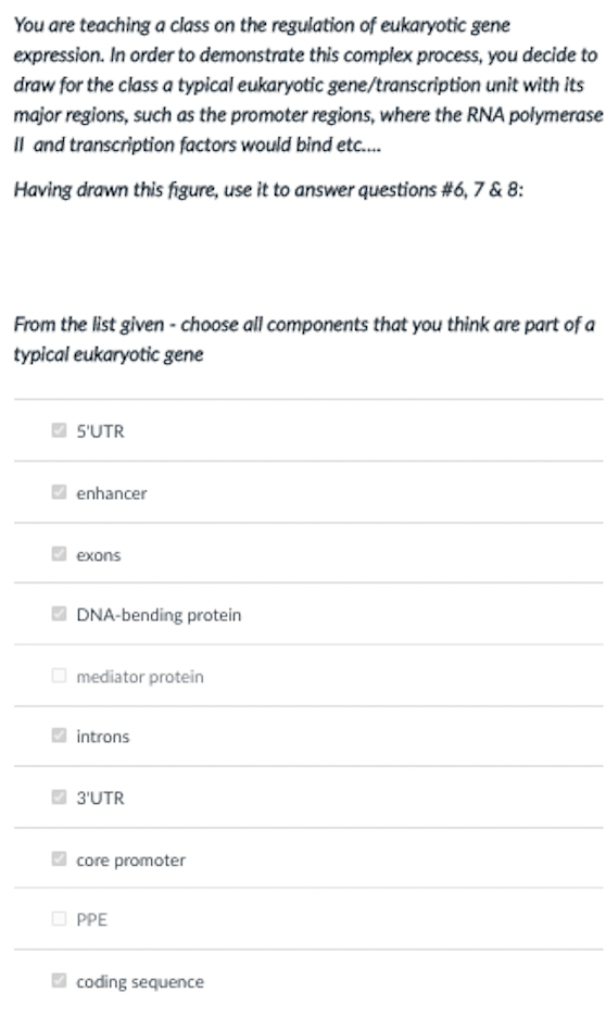 You are teaching a class on the regulation of eukaryotic gene
expression. In order to demonstrate this complex process, you decide to
draw for the class a typical eukaryotic gene/transcription unit with its
major regions, such as the promoter regions, where the RNA polymerase
Il and transcription factors would bind etc.
Having drawn this figure, use it to answer questions #6, 7 & 8:
From the list given - choose all components that you think are part of a
typical eukaryotic gene
S'UTR
enhancer
exons
DNA-bending protein
O mediator protein
introns
3'UTR
core promoter
O PPE
coding sequence
