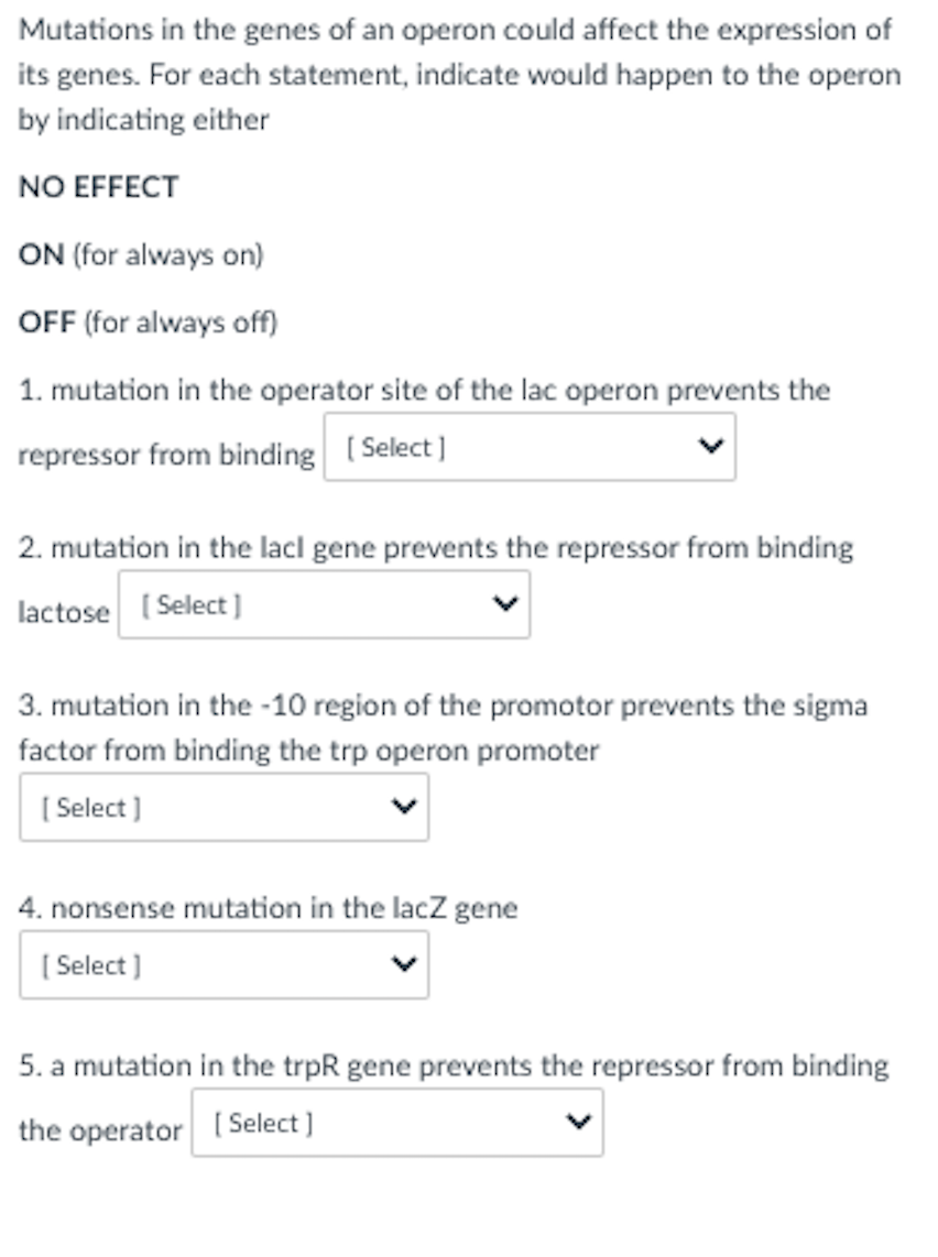 Mutations in the genes of an operon could affect the expression of
its genes. For each statement, indicate would happen to the operon
by indicating either
NO EFFECT
ON (for always on)
OFF (for always off)
1. mutation in the operator site of the lac operon prevents the
repressor from binding (Select]
2. mutation in the lacl gene prevents the repressor from binding
lactose ( Select)
3. mutation in the -10 region of the promotor prevents the sigma
factor from binding the trp operon promoter
( Select )
4. nonsense mutation in the lacZ gene
( Select )
5. a mutation in the trpR gene prevents the repressor from binding
the operator (Select )
