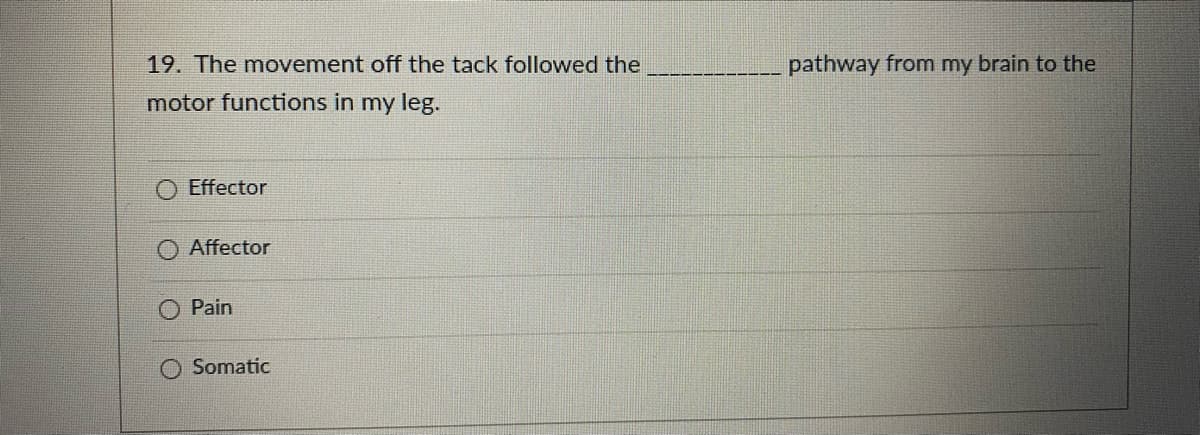 19. The movement off the tack followed the
pathway from my brain to the
motor functions in my leg.
Effector
O Affector
Pain
Somatic
