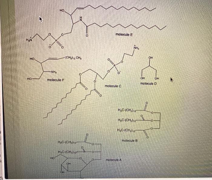 HO
molecule E
HO.
(CH12 CH,
OH
NH,
HO
molecule F
HO
molecule D
molecule C
H,C-(CH),3
of
H,C-(CH,)
H,C-(CH
molecule B
H3C-(CHa)12
H,C-(CH)
но
molecule A
