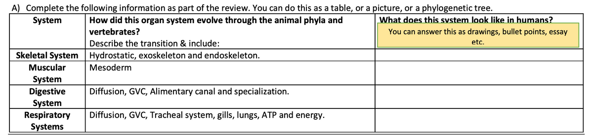 A) Complete the following information as part of the review. You can do this as a table, or a picture, or a phylogenetic tree.
System
How did this organ system evolve through the animal phyla and
vertebrates?
Skeletal System
Muscular
System
Digestive
System
Respiratory
Systems
Describe the transition & include:
| Hydrostatic, exoskeleton and endoskeleton.
Mesoderm
Diffusion, GVC, Alimentary canal and specialization.
Diffusion, GVC, Tracheal system, gills, lungs, ATP and energy.
What does this system look like in humans?
You can answer this as drawings, bullet points, essay
etc.