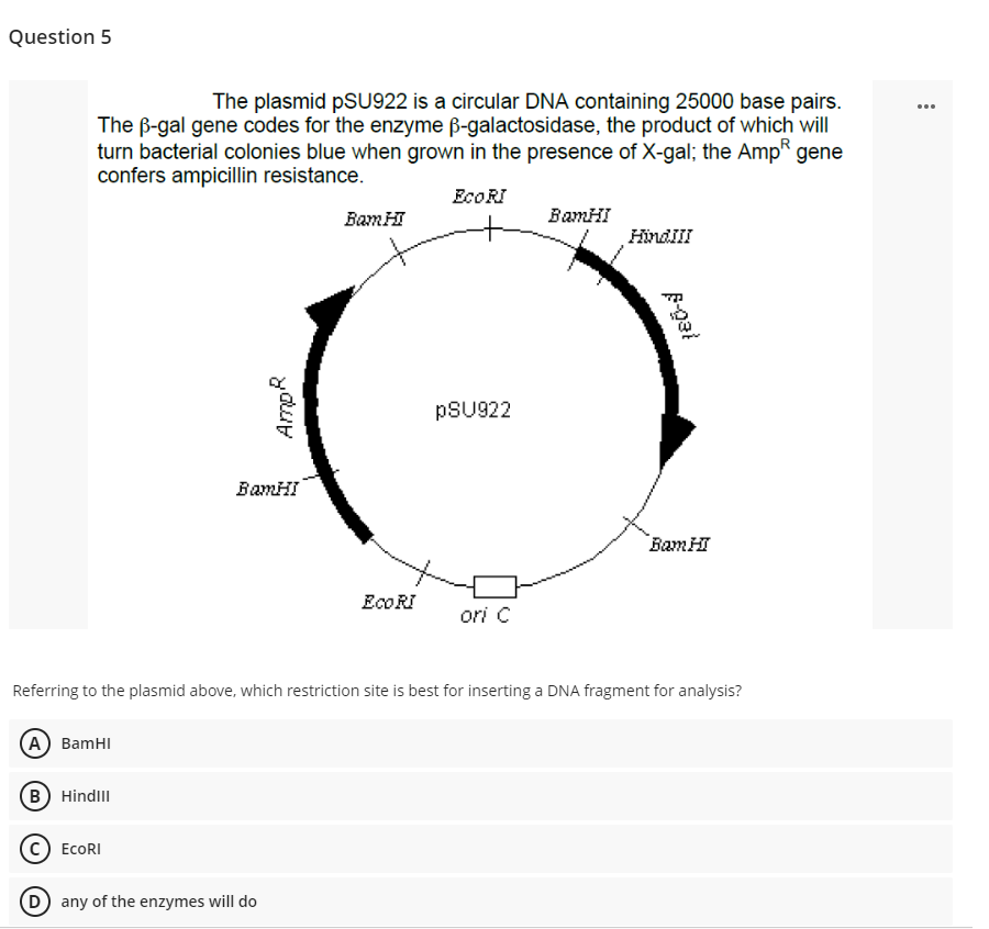 Question 5
The plasmid PSU922 is a circular DNA containing 25000 base pairs.
The ß-gal gene codes for the enzyme ß-galactosidase, the product of which will
turn bacterial colonies blue when grown in the presence of X-gal; the Amp gene
confers ampicillin resistance.
EcoRI
Bam HI
BamHI
HindIII
PSU922
BamHI
Bam HI
EcoRI
ori C
Referring to the plasmid above, which restriction site is best for inserting a DNA fragment for analysis?
(A) BamHI
(B) Hindill
(C) ECORI
(D) any of the enzymes will do
AmpR
F-gai