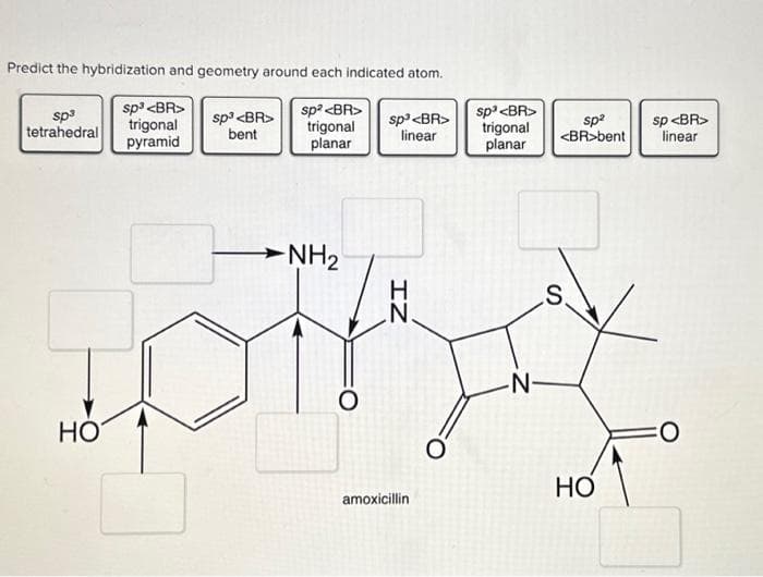 Predict the hybridization and geometry around each indicated atom.
sp³ <BR>
trigonal
pyramid
sp³
tetrahedral
HO
sp³ <BR>
bent
sp² <BR>
trigonal
planar
-NH₂
O
sp³ <BR>
linear
IZ
amoxicillin
O
sp³ <BR>
trigonal
planar
-N-
sp²
<BR>bent
S.
HO
sp <BR>
linear
FO