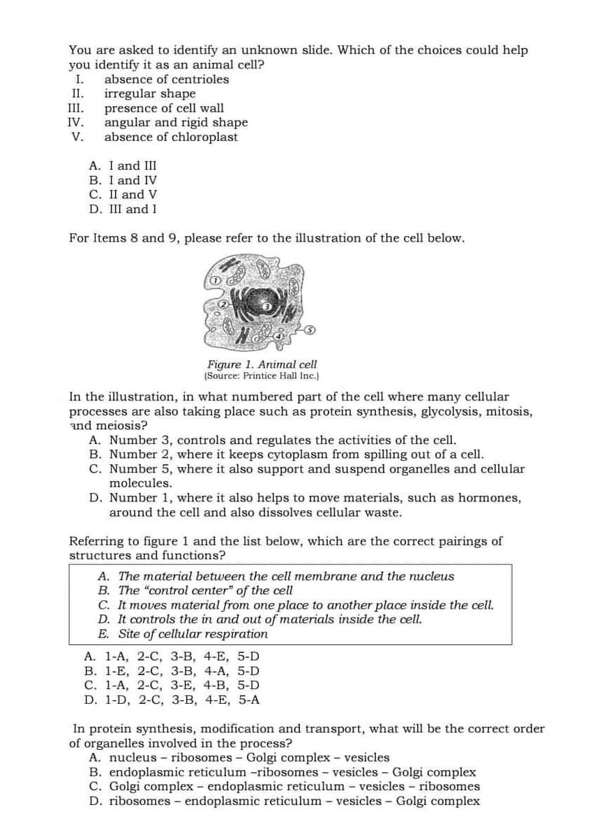 You are asked to identify an unknown slide. Which of the choices could help
you identify it as an animal cell?
I.
irregular shape
presence of cell wall
angular and rigid shape
absence of chloroplast
absence of centrioles
II.
III.
IV.
V.
A. I and III
B. I and IV
C. II and V
D. III and I
For Items 8 and 9, please refer to the illustration of the cell below.
Figure 1. Animal cell
(Source: Printice Hall Inc.)
In the illustration, in what numbered part of the cell where many cellular
processes are also taking place such as protein synthesis, glycolysis, mitosis,
and meiosis?
A. Number 3, controls and regulates the activities of the cell.
B. Number 2, where it keeps cytoplasm from spilling out of a cell.
C. Number 5, where it also support and suspend organelles and cellular
molecules.
D. Number 1, where it also helps to move materials, such as hormones,
around the cell and also dissolves cellular waste.
Referring to figure 1 and the list below, which are the correct pairings of
structures and functions?
A. The material between the cell membrane and the nucleus
B. The "control center" of the cell
C. It moves material from one place to another place inside the cell.
D. It controls the in and out of materials inside the cell.
E. Site of cellular respiration
А. 1-А, 2-С, 3-В, 4-Е, 5-D
В. 1-Е, 2-С, 3-В, 4-А, 5-D
С. 1-А, 2-С, 3-Е, 4-В, 5-D
D. 1-D, 2-C, 3-В, 4-Е, 5-А
In protein synthesis, modification and transport, what will be the correct order
of organelles involved in the process?
A. nucleus - ribosomes - Golgi complex - vesicles
B. endoplasmic reticulum -ribosomes - vesicles Golgi complex
C. Golgi complex - endoplasmic reticulum - vesicles - ribosomes
D. ribosomes - endoplasmic reticulum - vesicles - Golgi complex
