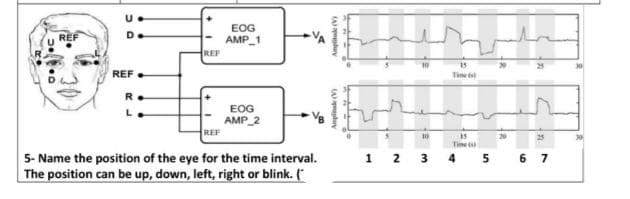 EOG
AMP 1
REF
REF
REF
Tine t
EOG
AMP 2
REF
15
Tie
20
1 2 3
5 6 7
5- Name the position of the eye for the time interval.
The position can be up, down, left, right or blink. (
4
A ry
