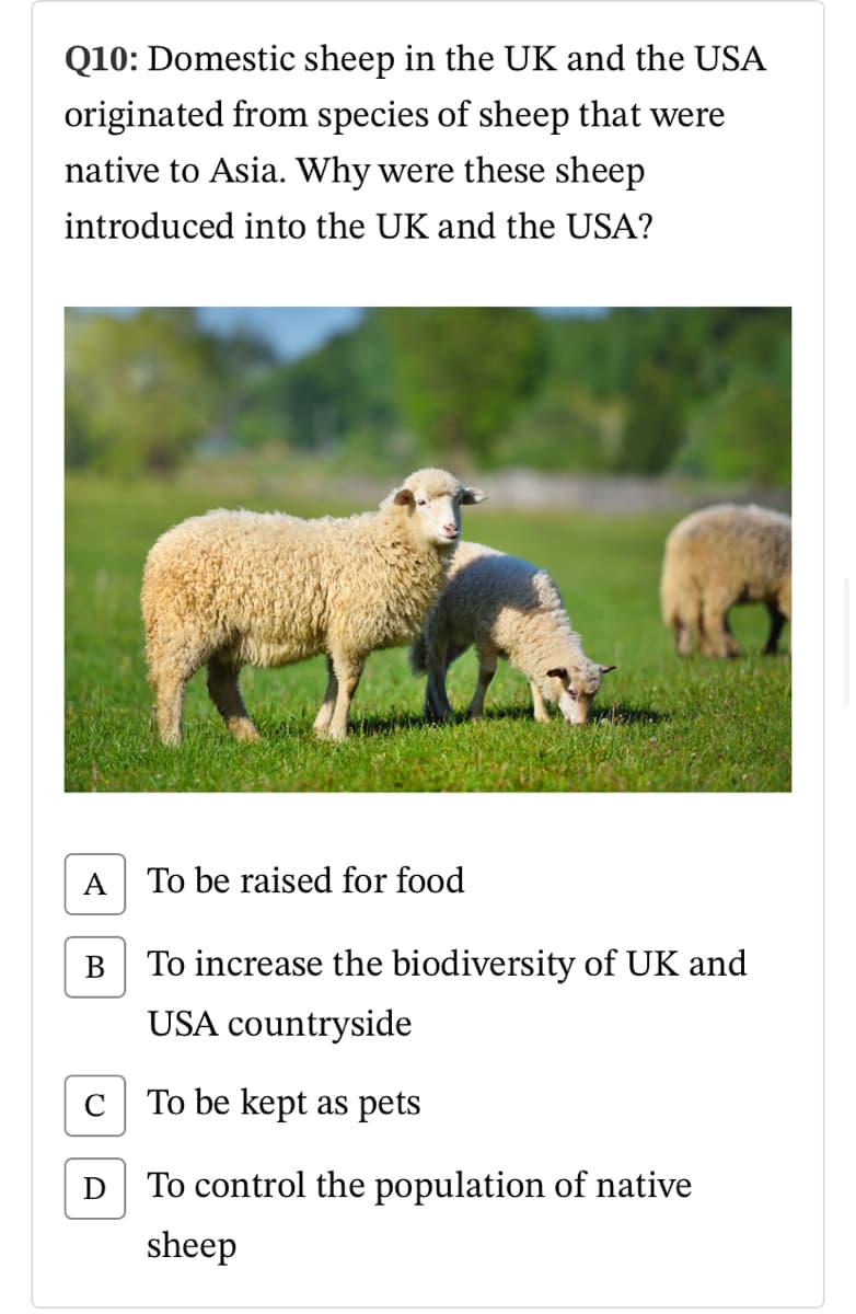 Q10: Domestic sheep in the UK and the USA
originated from species of sheep that were
native to Asia. Why were these sheep
introduced into the UK and the USA?
A
To be raised for food
To increase the biodiversity of UK and
USA countryside
C To be kept as pets
D To control the population of native
sheep
