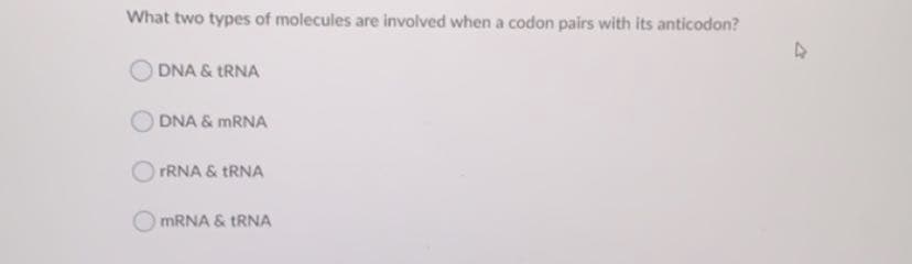 What two types of molecules are involved when a codon pairs with its anticodon?
DNA & TRNA
DNA & MRNA
FRNA & TRNA
MRNA & TRNA
