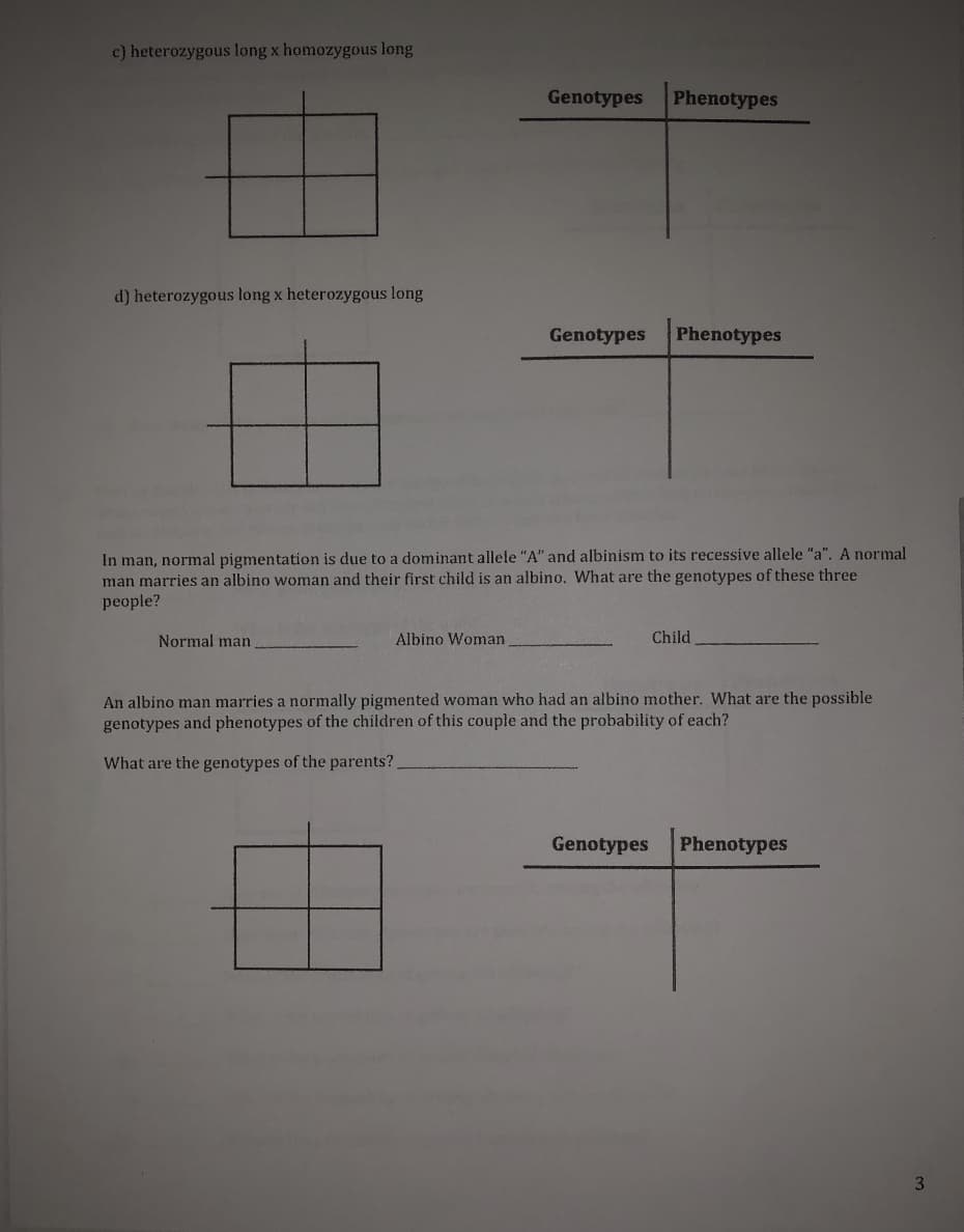 c) heterozygous long x homozygous long
Genotypes
Phenotypes
d) heterozygous long x heterozygous long
Genotypes
Phenotypes
In man, normal pigmentation is due to a dominant allele "A" and albinism to its recessive allele "a". A normal
man marries an albino woman and their first child is an albino. What are the genotypes of these three
people?
Normal man
Albino Woman
Child
An albino man marries a normally pigmented woman who had an albino mother. What are the possible
genotypes and phenotypes of the children of this couple and the probability of each?
What are the genotypes of the parents?
Genotypes
Phenotypes
3.
