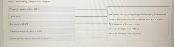 Match the following cofactor to its function
Thiamine pyrophosphate (TPP)
Lipoic acid
Coenzyme A (CoA)
Flavin adenine dinucleotide (FAD)
Nicotinamide adenine dinucleotide (NAD)
decarboxylates pyruvateyielding a hydroxyethyl-intermediate
accepts the hydroxyethyl-Intermediate as an acetyl group
Final acceptor of the acetyl group
Receives electrons from FADH2
Receives electrons from ilipoamide