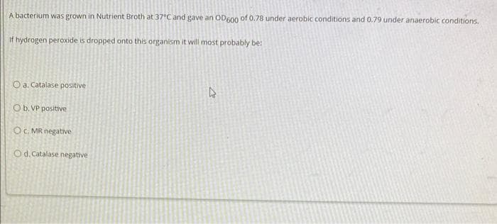 A bacterium was grown in Nutrient Broth at 37°C and gave an OD600 of 0.78 under aerobic conditions and 0.79 under anaerobic conditions.
If hydrogen peroxide is dropped onto this organism it will most probably be:
Oa. Catalase positive
Ob. VP positive
Oc. MR negative
Od. Catalase negative
4