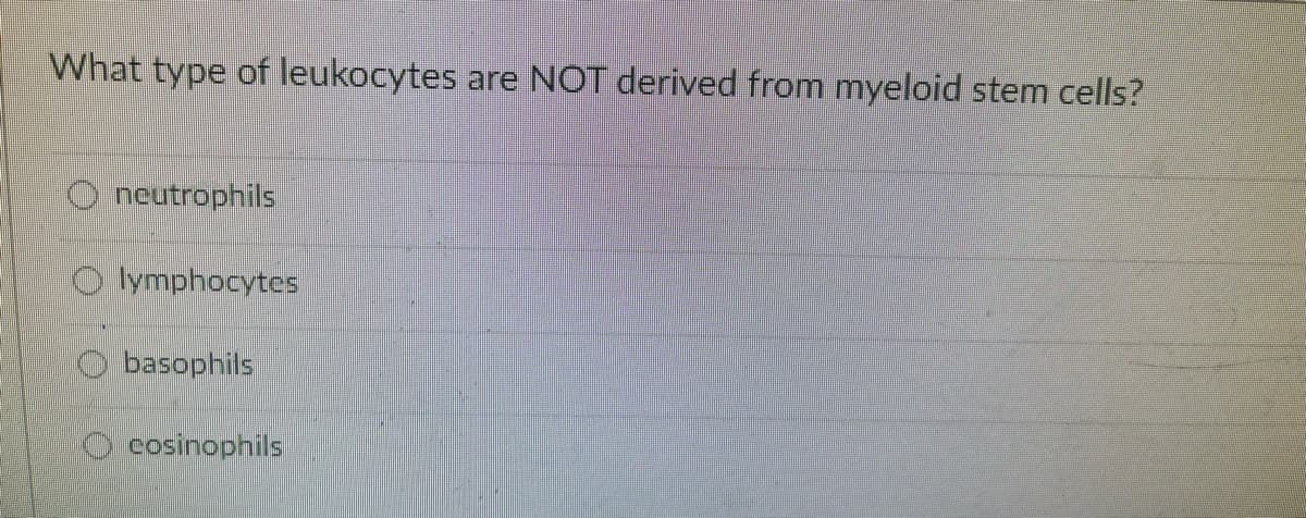 What type of leukocytes are NOT derived from myeloid stem cells?
O neutrophils
O lymphocytes
basophils
O cosinophils
