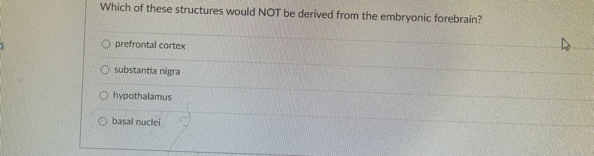 Which of these structures would NOT be derived from the embryonic forebrain?
O prefrontal cortex
O substantia nigra
O hypothalamus
O basal nuclei
