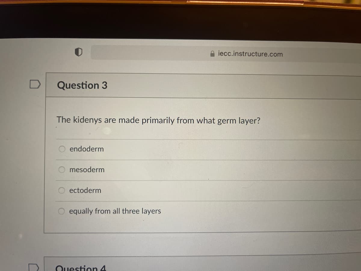 iecc.instructure.com
Question 3
The kidenys are made primarily from what germ layer?
endoderm
mesoderm
ectoderm
equally from all three layers
Question 4
