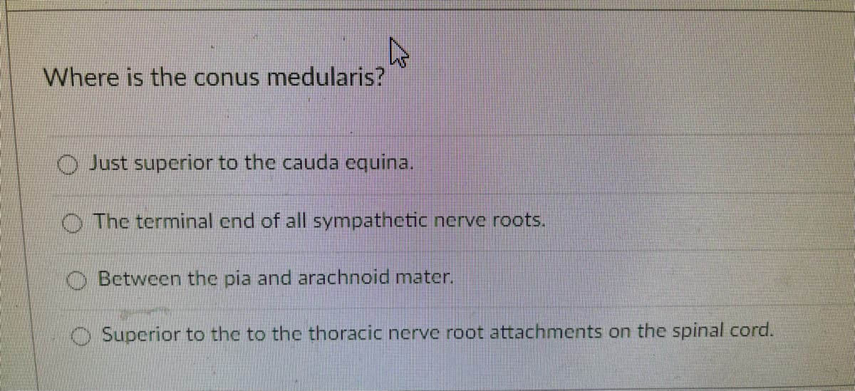 Where is the conus medularis?
0 Just superior to the cauda equina.
O The terminal end of all sympathetic nerve roots.
OBetween the pia and arachnoid mater.
Superior to the to the thoracic nerve root attachments on the spinal cord.
