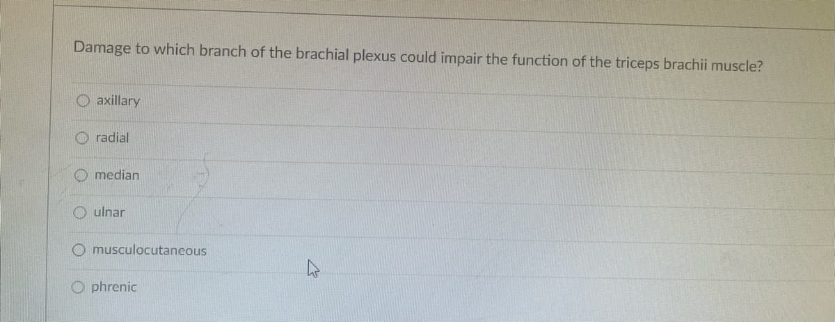 Damage to which branch of the brachial plexus could impair the function of the triceps brachii muscle?
axillary
radial
O median
ulnar
O musculocutaneous
O phrenic
