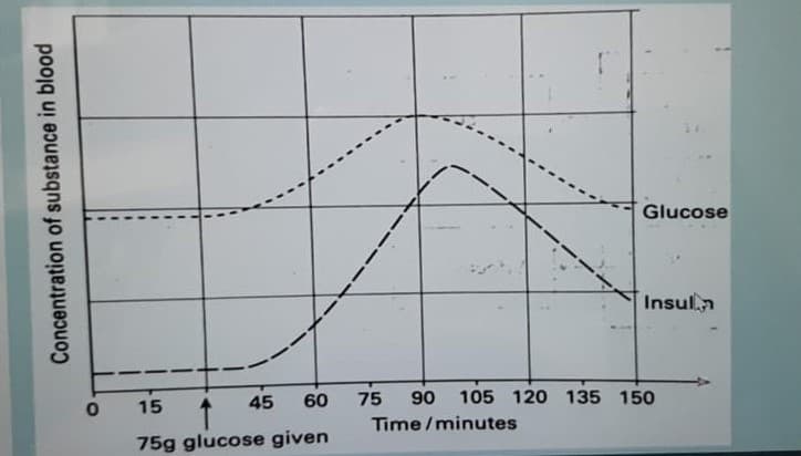 Glucose
Insuln
45
60
75
90
105 120 135 150
15
Time/minutes
75g glucose given
Concentration of substance in blood
