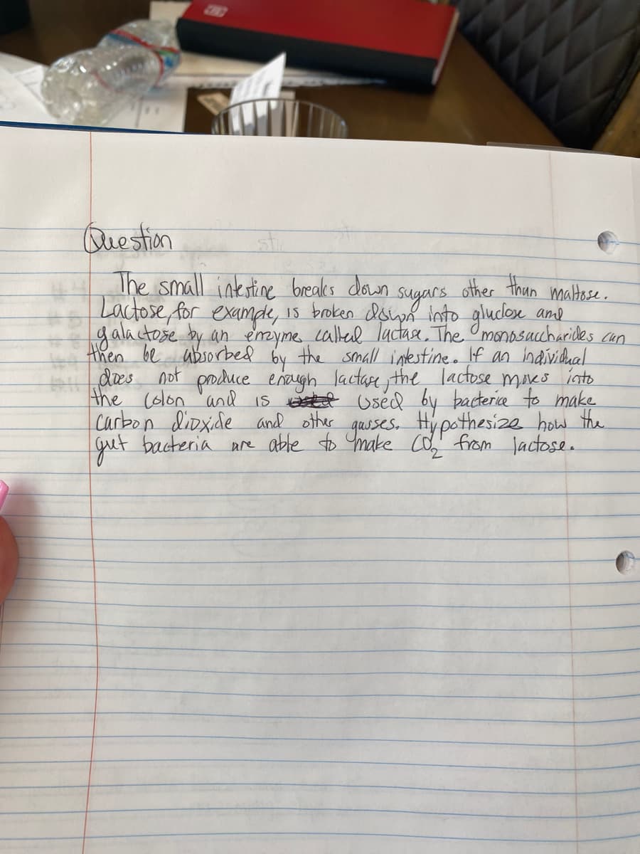 Question
The small intstine breaks down
Lactose for examde, 1s broken dswn into gluclex and
galactose by an emyme calel lactaa, The Omonosucharides can
then be absorbed by the smnall intestine. f an ndivicual
des not produce enaygh lactare the, lactose maxs iato
the colon "and is tt Uséd by bacterie to make
Carbon dioxide and other
gret bacteria are able to Ymake co, from lactosen
other than maltose.,
suyars
guses. Hypothesize how the
