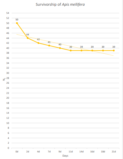 Survivorship of Apis mellifera
54
52
50
50
48
46
44
44
42
42
39
39
39
39
40
38
36
34
32
30
28
26
24
22
20
18
16
14
12
10
6
4
Od
2d
4d
9d
11d
14d
16d
18d
21d
Days
"N
