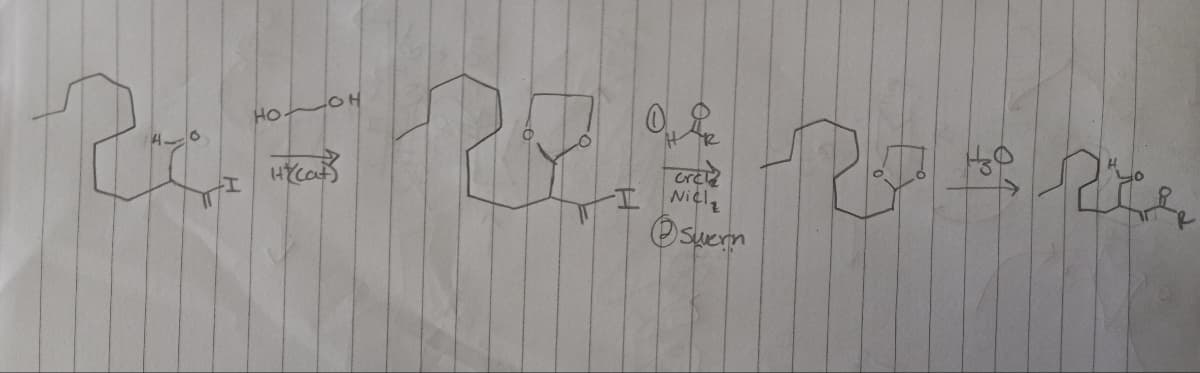 HO.
랑하고 있을 수
HyCat)
arcle
Nicl
Ⓒswern
간 교육을