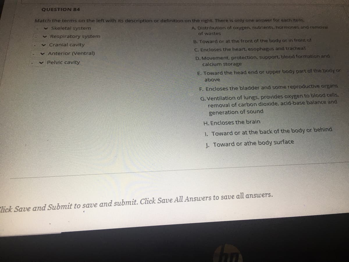 QUESTION 84
Match the terms on the left with its description or definition on the right. There is only one answer for each item.
v Skeletal system
A. Distribution of oxygen, nutrients, hormones and removal
of wastes
v Respiratory system
v Cranial cavity
B. Toward or at the front of the body or in front of
C. Encloses the heart, esophagus and tracheaT
v Anterior (Ventral)
D. Movement, protection, support, blood formation and
calcium storage
v Pelvic cavity
E. Toward the head end or upper body part of the body or
above
F. Encloses the bladder and some reproductive organs.
G. Ventilation of lungs, provides oxygen to blood cells,
removal of carbon dioxide, acid-base balance and
generation of sound
H. Encloses the brain
1. Toward or at the back of the body or behind
J. Toward or athe body surface
lick Save and Submit to save and submit. Click Save All Answers to save all answers.
