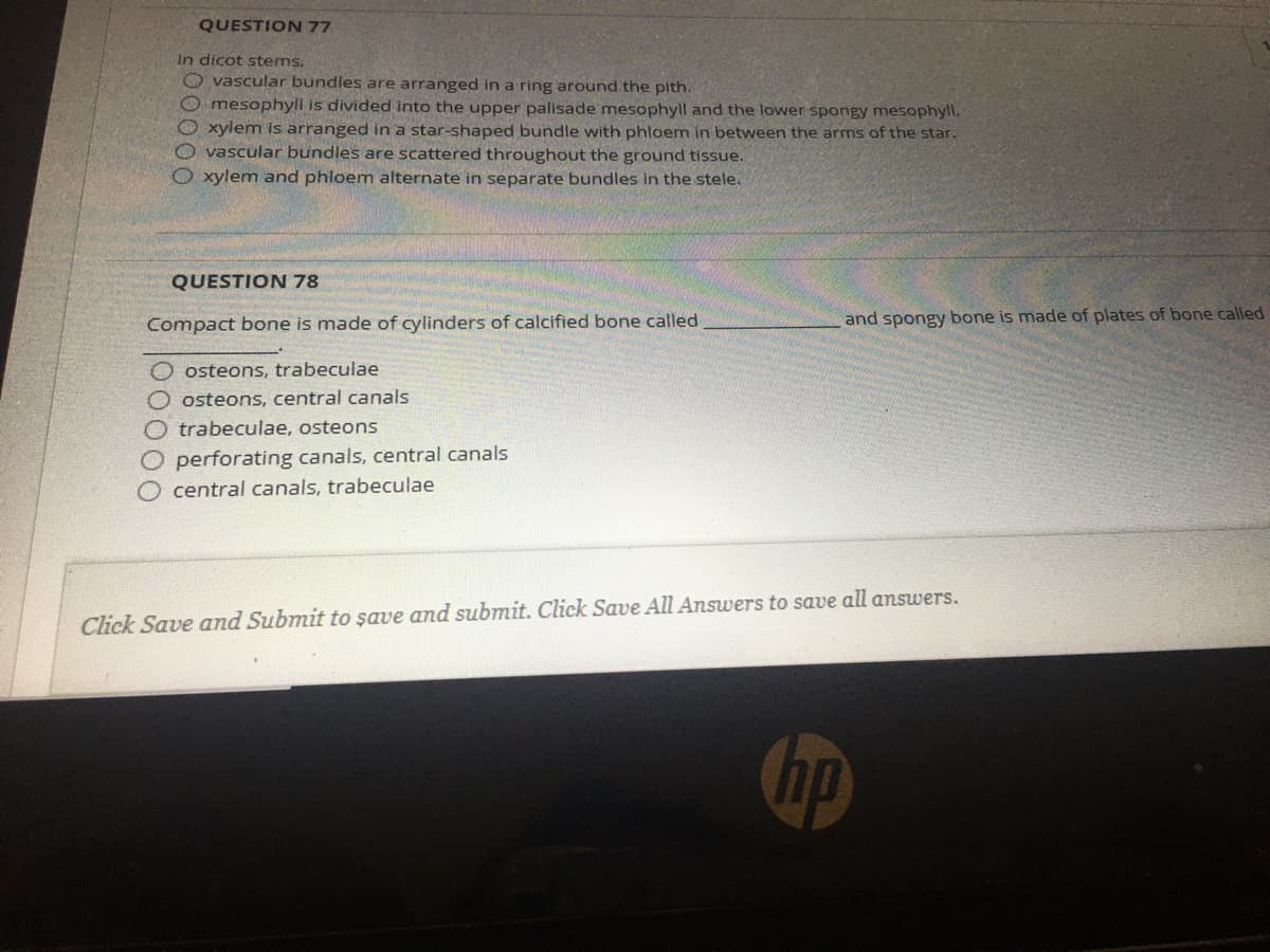 QUESTION 77
In dicot stems,
O vascular bundles are arranged in a ring around the pith.
O mesophyll is divided into the upper palisade mesophyll and the lower spongy mesophyll.
O xylem is arranged in a star-shaped bundle with phloem in between the arms of the star.
O vascular bundles are scattered throughout the ground tissue.
O xylem and phloem alternate in separate bundles in the stele.
QUESTION 78
Compact bone is made of cylinders of calcified bone called
and spongy bone is made of plates of bone called
osteons, trabeculae
O osteons, central canals
trabeculae, osteons
perforating canals, central canals
O central canals, trabeculae
Click Save and Submit to şave and submit. Click Save All Ansuwers to save all answers.
