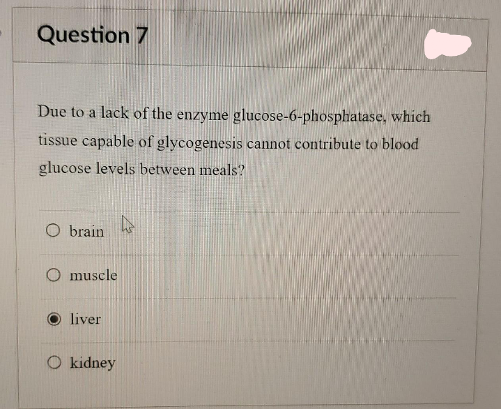 Question 7
Due to a lack of the enzyme glucose-6-phosphatase, which
tissue capable of glycogenesis cannot contribute to blood
glucose levels between meals?
O brain
O muscle
O liver
O kidney
