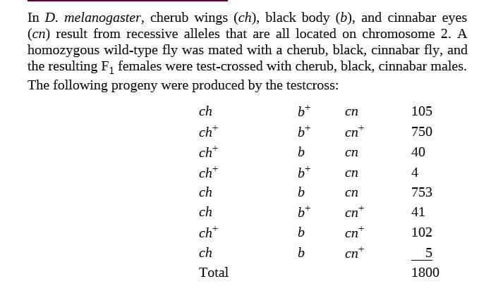 In D. melanogaster, cherub wings (ch), black body (b), and cinnabar eyes
(cn) result from recessive alleles that are all located on chromosome 2. A
homozygous wild-type fly was mated with a cherub, black, cinnabar fly, and
the resulting F, females were test-crossed with cherub, black, cinnabar males.
The following progeny were produced by the testcross:
ch
b*
сп
105
ch*
b*
cn*
750
ch*
40
cn
ch*
b+
сп
4
ch
cn
753
ch
b+
cn*
41
ch*
cn*
102
ch
сп
Total
1800
