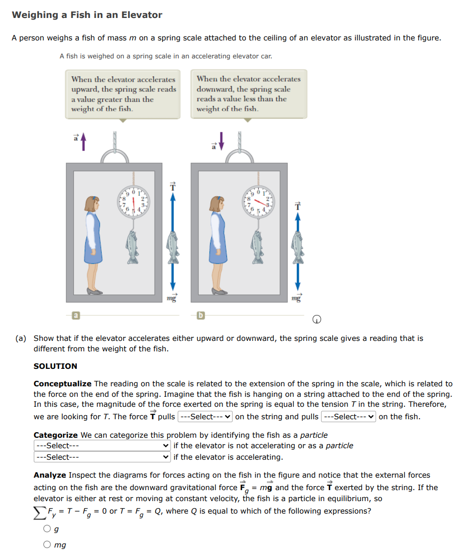 Weighing a Fish in an Elevator
A person weighs a fish of mass m on a spring scale attached to the ceiling of an elevator as illustrated in the figure.
A fish is weighed on a spring scale in an accelerating elevator car.
When the elevator accelerates
When the elevator accelerates
upward, the spring scale reads
a value greater than the
weight of the fish.
downward, the spring scale
reads a value less than the
weight of the fish.
mg
mg
(a) Show that if the elevator accelerates either upward or downward, the spring scale gives a reading that is
different from the weight of the fish.
SOLUTION
Conceptualize The reading on the scale is related to the extension of the spring in the scale, which is related to
the force on the end of the spring. Imagine that the fish is hanging on a string attached to the end of the spring.
In this case, the magnitude of the force exerted on the spring is equal to the tension T in the string. Therefore,
we are looking for T. The force T pulls ---Select--- v on the string and pulls ---Select--- v on the fish.
Categorize We can categorize this problem by identifying the fish as a particle
v if the elevator is not accelerating or as a particle
v if the elevator is accelerating.
---Select---
---Select---
Analyze Inspect the diagrams for forces acting on the fish in the figure and notice that the external forces
acting on the fish are the downward gravitational force F, = mg and the force T exerted by the string. If the
elevator is either at rest or moving at constant velocity, the fish is a particle in equilibrium, so
SF, =T- F, = 0 or T = F, = Q, where Q is equal to which of the following expressions?
O mg
