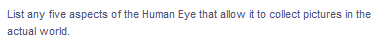 List any five aspects of the Human Eye that allow it to collect pictures in the
actual world.