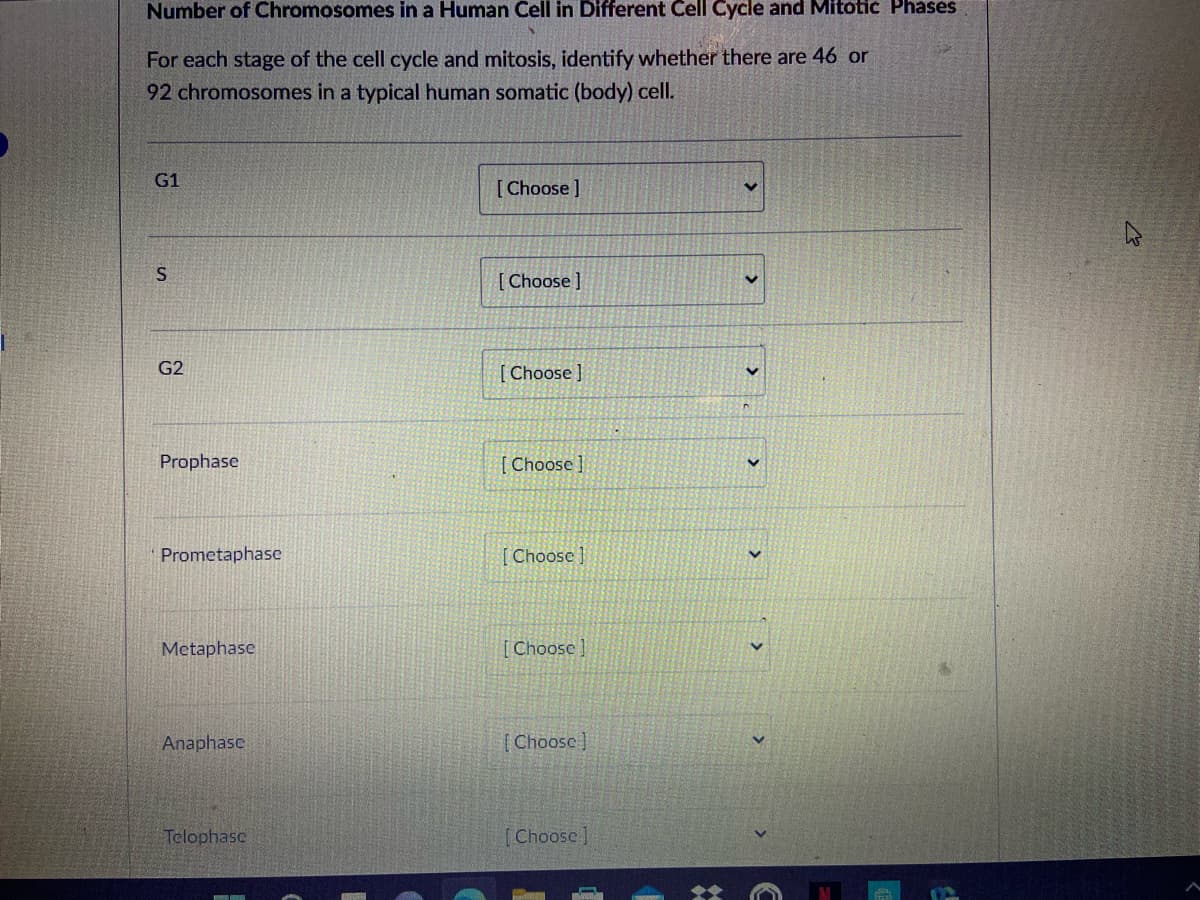 Number of Chromosomes in a Human Cell in Different Cell Cycle and Mitotic Phases
For each stage of the cell cycle and mitosis, identify whether there are 46 or
92 chromosomes in a typical human somatic (body) cell.
G1
[Choose]
S.
[ Choose]
G2
[ Choose ]
Prophase
[Choose ]
Prometaphase
Choose ]
Metaphase
[Choose ]
Anaphase
[Choosc]
Telophasc
[Choose)
