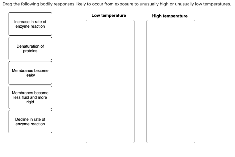 Drag the following bodily responses likely to occur from exposure to unusually high or unusually low temperatures.
Low temperature
High temperature
Increase in rate of
enzyme reaction
Denaturation of
proteins
Membranes become
leaky
Membranes become
less fluid and more
rigid
Decline in rate of
enzyme reaction
