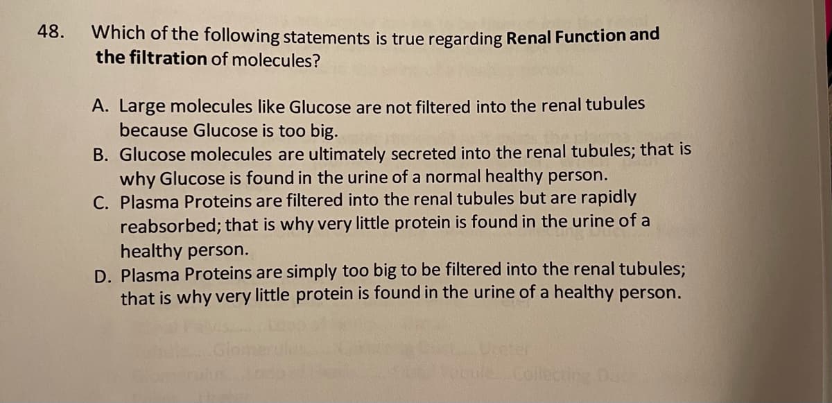 48.
Which of the following statements is true regarding Renal Function and
the filtration of molecules?
A. Large molecules like Glucose are not filtered into the renal tubules
because Glucose is too big.
B. Glucose molecules are ultimately secreted into the renal tubules; that is
why Glucose is found in the urine of a normal healthy person.
C. Plasma Proteins are filtered into the renal tubules but are rapidly
reabsorbed; that is why very little protein is found in the urine of a
healthy person.
D. Plasma Proteins are simply too big to be filtered into the renal tubules;
that is why very little protein is found in the urine of a healthy person.
Collecting
