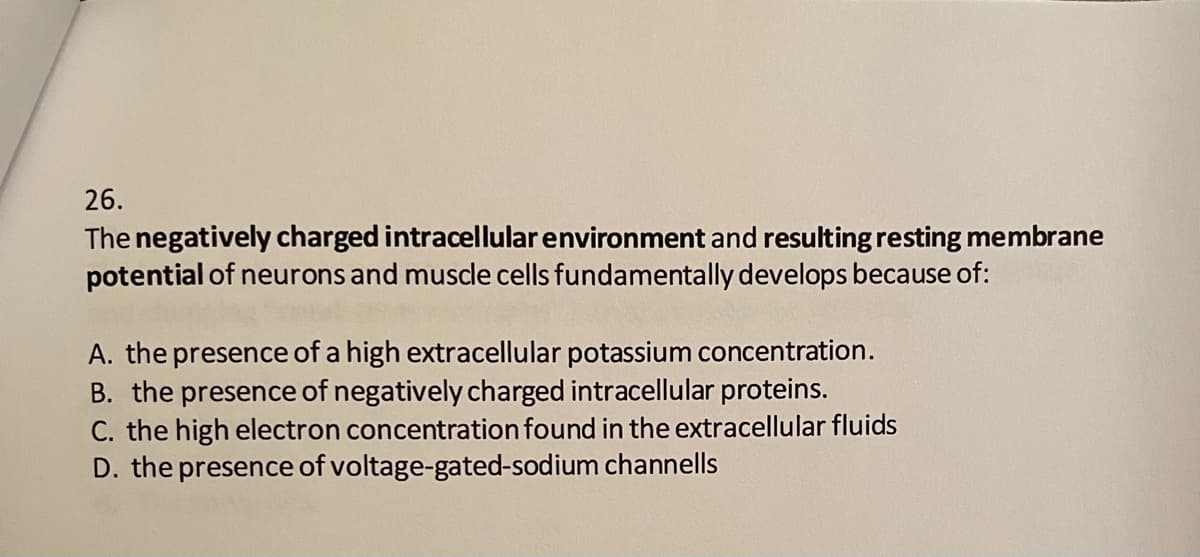 26.
The negatively charged intracellular environment and resulting resting membrane
potential of neurons and muscle cells fundamentally develops because of:
A. the presence of a high extracellular potassium concentration.
B. the presence of negatively charged intracellular proteins.
C. the high electron concentration found in the extracellular fluids
D. the presence of voltage-gated-sodium channells
