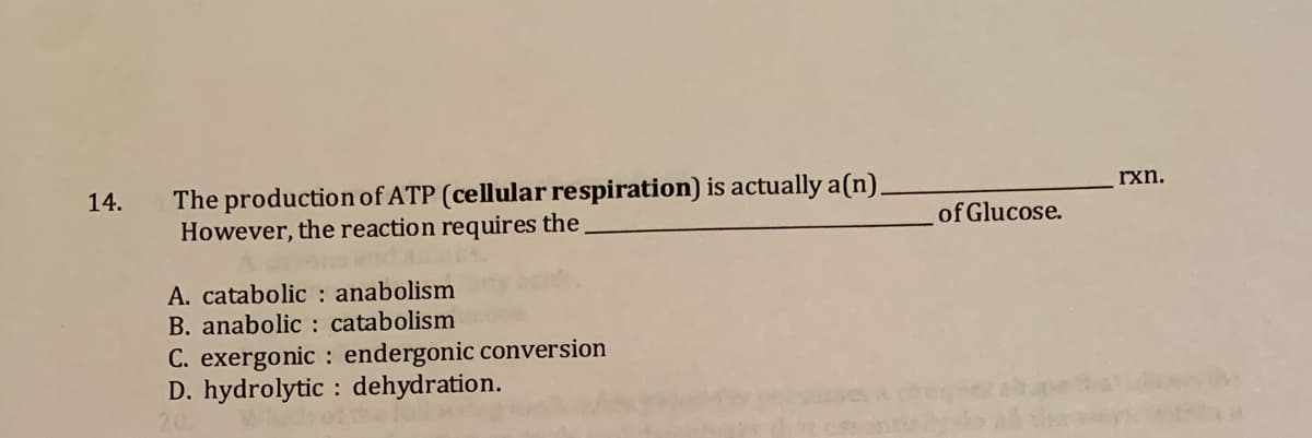 The productionof ATP (cellular respiration) is actually a(n).
However, the reaction requires the
rxn.
14.
of Glucose.
A. catabolic : anabolism
B. anabolic : catabolism
C. exergonic : endergonic conversion
D. hydrolytic : dehydration.
the
