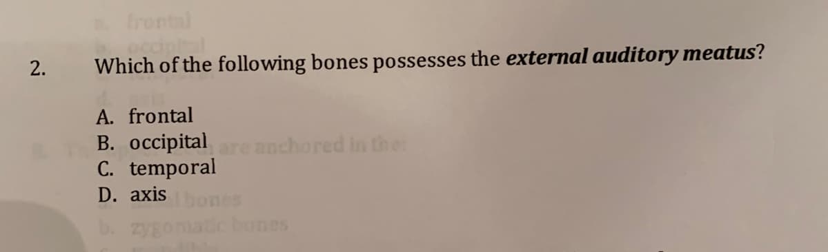 frontal
occiptal
Which of the following bones possesses the external auditory meatus?
A. frontal
B. occipitalre anchored in the
C. temporal
D. axis
zyEonatic bones
2.
