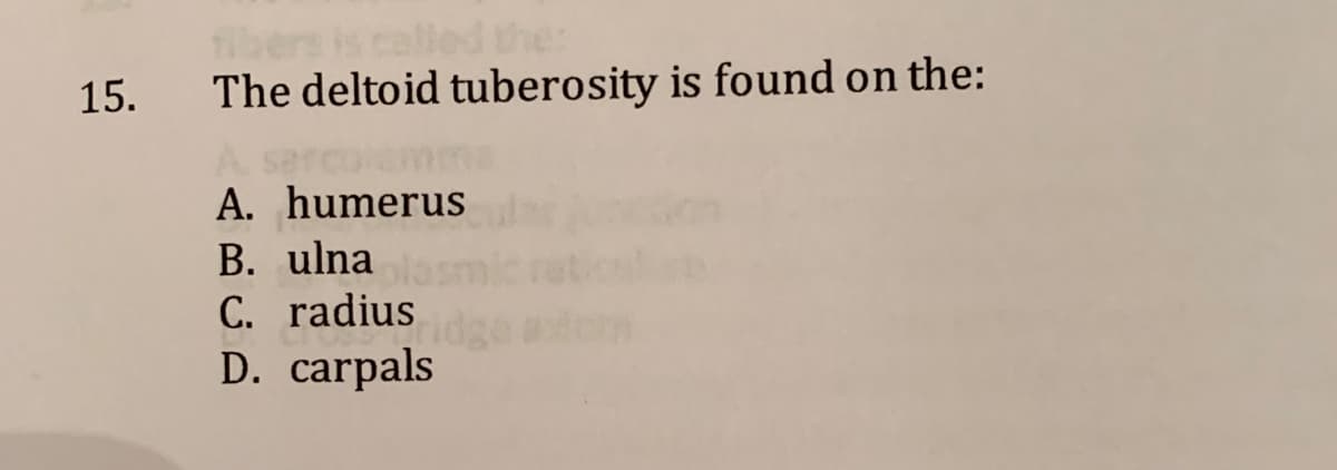 15.
The deltoid tuberosity is found on the:
A. humerus
B. ulna
C. radius
D. carpals
