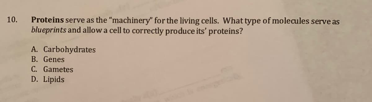 Proteins serve as the "machinery" for the living cells. What type of molecules serve as
blueprints and allow a cell to correctly produce its' proteins?
10.
A. Carbohydrates
B. Genes
C. Gametes
D. Lipids
