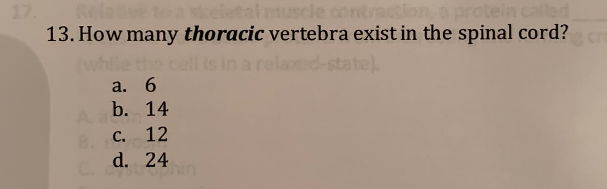 17.
Rela
etalmuscle
13. How many thoracic vertebra exist in the spinal cord?re
ntraction
protein called
(while the
ed-state).
a. 6
Ab. 14
B.
C. 12
d. 24
C.
