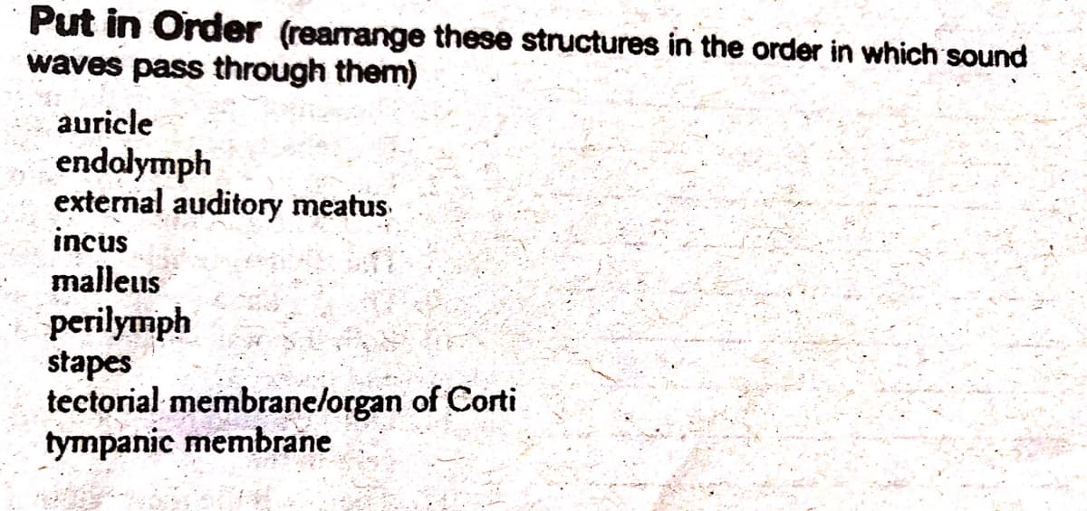 Put in Order (rearrange these structures in the order in which sound
waves pass through them)
auricle
endolymph
external auditory meatus
incus
malleus
perilymph
stapes
tectorial membrane/organ of Corti
tympanic membrane