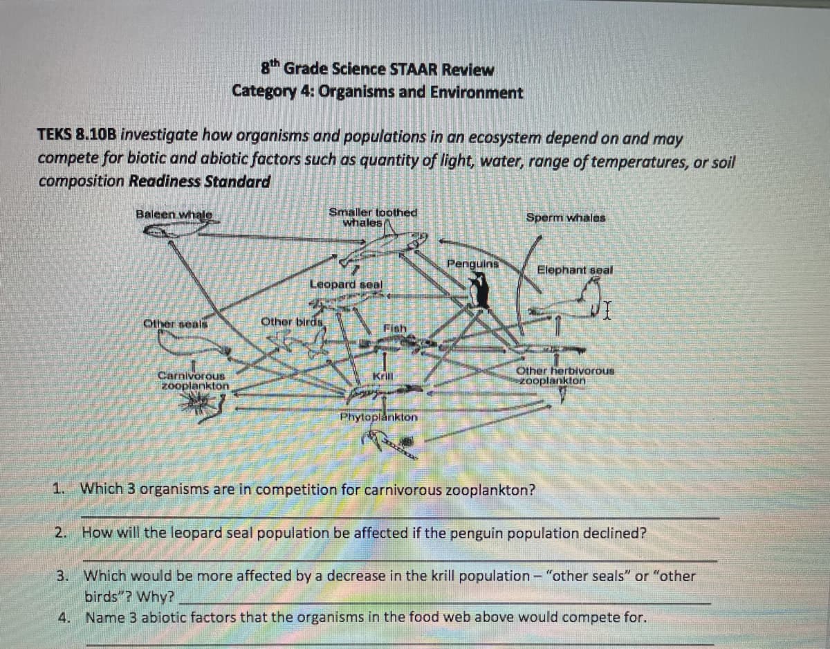 ### 8th Grade Science STAAR Review
#### Category 4: Organisms and Environment

**TEKS 8.10B** investigate how organisms and populations in an ecosystem depend on and may compete for biotic and abiotic factors such as quantity of light, water, range of temperatures, or soil composition **Readiness Standard**

---

### Food Web Diagram Description

The diagram illustrates a marine ecosystem food web comprised of various organisms and their interrelationships. Here's a detailed explanation of the food web components and their connections:

- **Phytoplankton**: At the base of the web, serving as primary producers.
- **Krill** and **Other herbivorous zooplankton**: Consume phytoplankton.
- **Fish**: Feed on krill and herbivorous zooplankton.
- **Other birds**: Eat fish.
- **Penguins**: Consume fish and krill.
- **Leopard seals**: Prey on penguins, other birds, and fish.
- **Other seals**: Feed on carnivorous zooplankton and fish.
- **Baleen Whale**: Consumes krill.
- **Sperm whales** and **Smaller toothed whales**: Eat krill and carnivorous zooplankton.
- **Elephant seals**: Prey on fish and squid.
- **Carnivorous zooplankton**: Feed on other smaller organisms.

### Study Questions

1. **Which 3 organisms are in competition for carnivorous zooplankton?**
   - Answer: Other seals, smaller toothed whales, and sperm whales are in competition for carnivorous zooplankton.

2. **How will the leopard seal population be affected if the penguin population declined?**
   - Answer: The leopard seal population would likely decrease if the penguin population declined, as penguins are a significant part of the leopard seal's diet. They would need to find alternative food sources or face increased competition for available prey.

3. **Which would be more affected by a decrease in the krill population – "other seals" or "other birds"? Why?**
   - Answer: Other seals would be more affected by a decrease in the krill population because they are directly dependent on krill for food, unlike other birds who do not primarily feed on krill.

4. **Name 3 abiotic factors that the organisms in the food