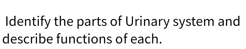 Identify the parts of Urinary system and
describe functions of each.
