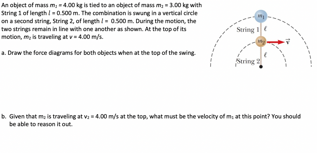 An object of mass m₁ = 4.00 kg is tied to an object of mass m₂ = 3.00 kg with
String 1 of length 1 = 0.500 m. The combination is swung in a vertical circle
on a second string, String 2, of length 1 = 0.500 m. During the motion, the
two strings remain in line with one another as shown. At the top of its
motion, m₂ is traveling at v = 4.00 m/s.
a. Draw the force diagrams for both objects when at the top of the swing.
1
mi
String 1
mo
String 2
b. Given that m2 is traveling at v₂ = 4.00 m/s at the top, what must be the velocity of m₁ at this point? You should
be able to reason it out.