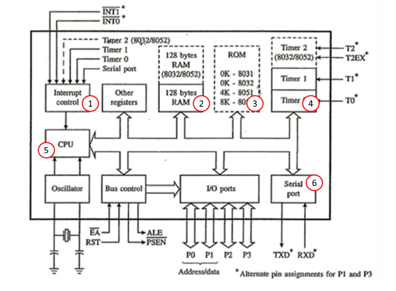 5
Interrupt
control (1
CPU
Oscillator
INTI
INTO
Timer 2 (8032/8052)
Timer 1
Timer 0
Serial port
EA
RST-
Other
registers
Bus control
128 bytes
RAM
(8032/8052)
128 bytes
RAM (2)
ALB
►PSEN
I
I
ROM
OK-8031
OK-8032
4K-8051
8K - 803
V/O ports
Timer 24-
(8032/8052)
Timer 1
Timer 4
Serial (6
port
T
TXD RXD
-T2
T2EX
TI*
· ΤΟ
PO P1 P2 P3
Address/data Alternate pin assignments for Pl and P3