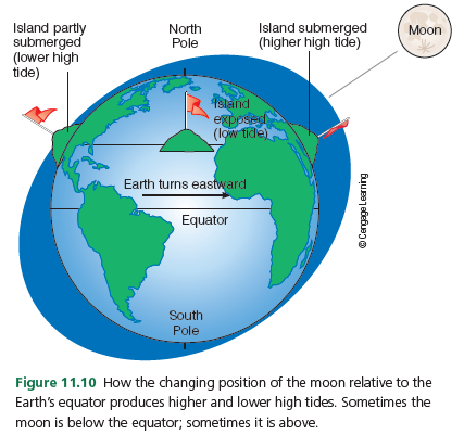 Island partly
submerged
(lower high
tide)
Island submerged
(higher high tide)
North
Pole
Moon
land
egposed
(low tide)
Earth turns eastward
Equator
South
Pole
Figure 11.10 How the changing position of the moon relative to the
Earth's equator produces higher and lower high tides. Sometimes the
moon is below the equator; sometimes it is above.
