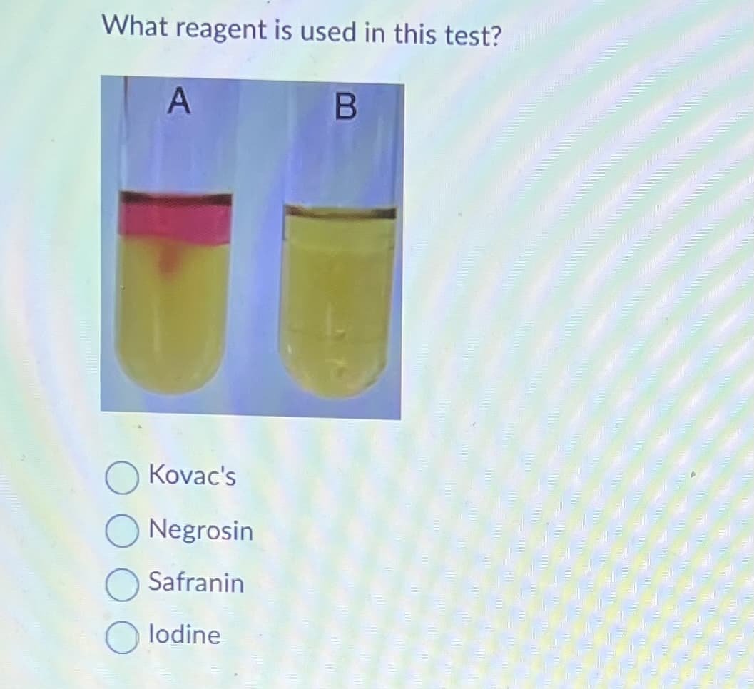 What reagent is used in this test?
A
Kovac's
Negrosin
Safranin
lodine
B