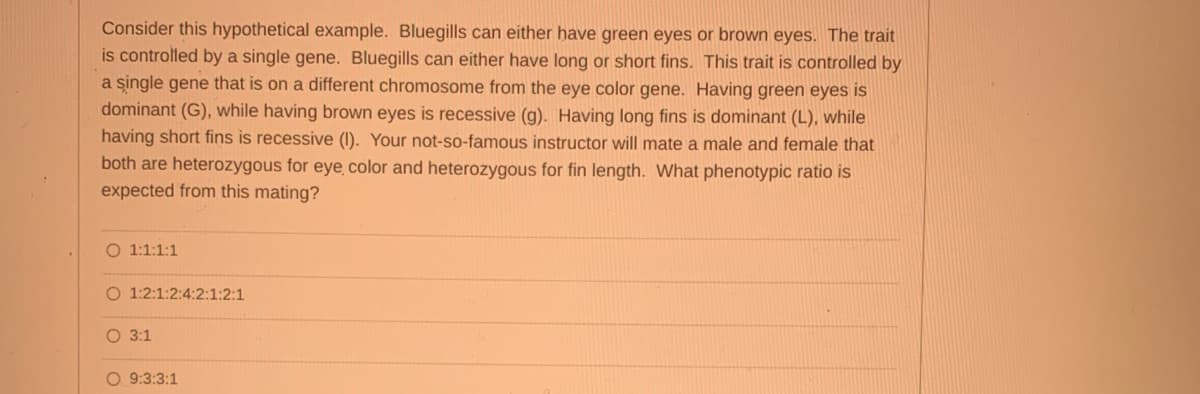 Consider this hypothetical example. Bluegills can either have green eyes or brown eyes. The trait
is controlled by a single gene. Bluegills can either have long or short fins. This trait is controlled by
a single gene that is on a different chromosome from the eye color gene. Having green eyes is
dominant (G), while having brown eyes is recessive (g). Having long fins is dominant (L), while
having short fins is recessive (I). Your not-so-famous instructor will mate a male and female that
both are heterozygous for eye color and heterozygous for fin length. What phenotypic ratio is
expected from this mating?
O 1:1:1:1
O 1:2:1:2:4:2:1:2:1
O 3:1
O 9:3:3:1
